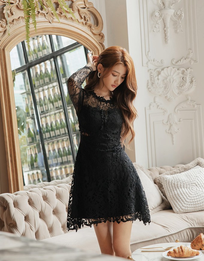 Semi- Transperent Lace Mini Dress