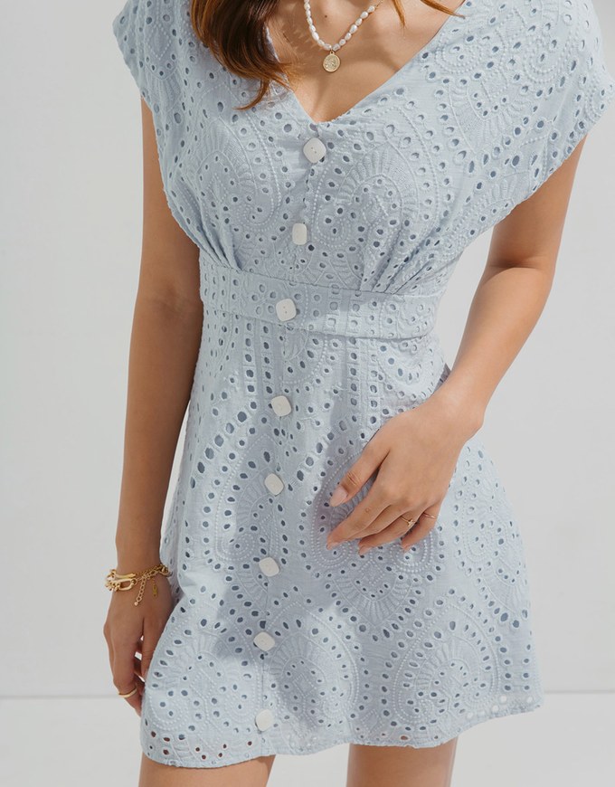 Embroidered Lace Sleeveless Mini Dress