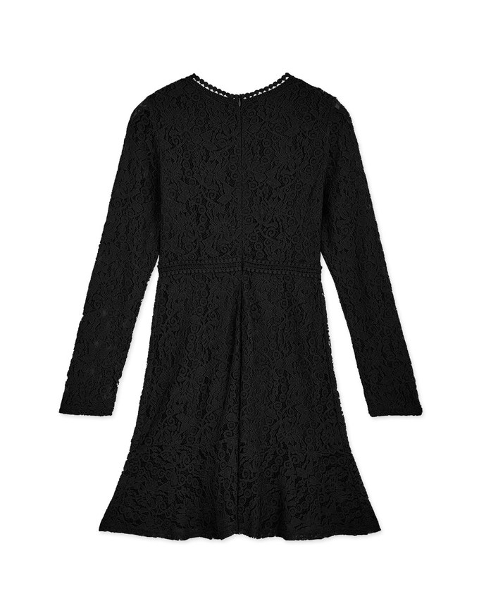 Lace Long Sleeve Mini Dress