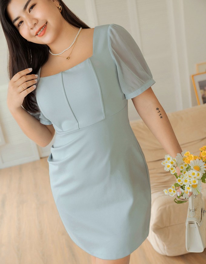 High Natural Waistline Short Sleeve Mini Dress