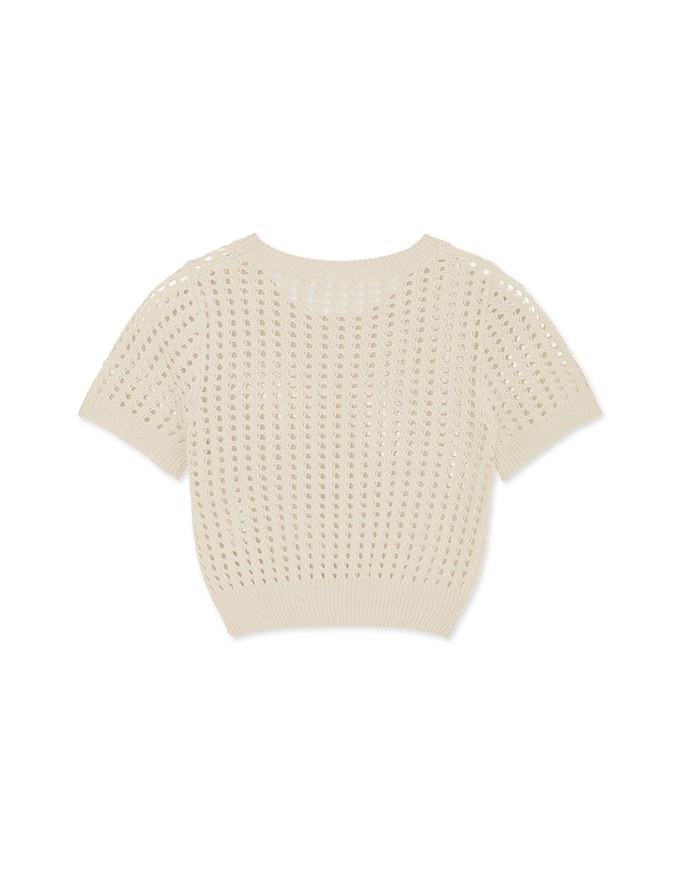 Hollow Hole Crop Knit Top