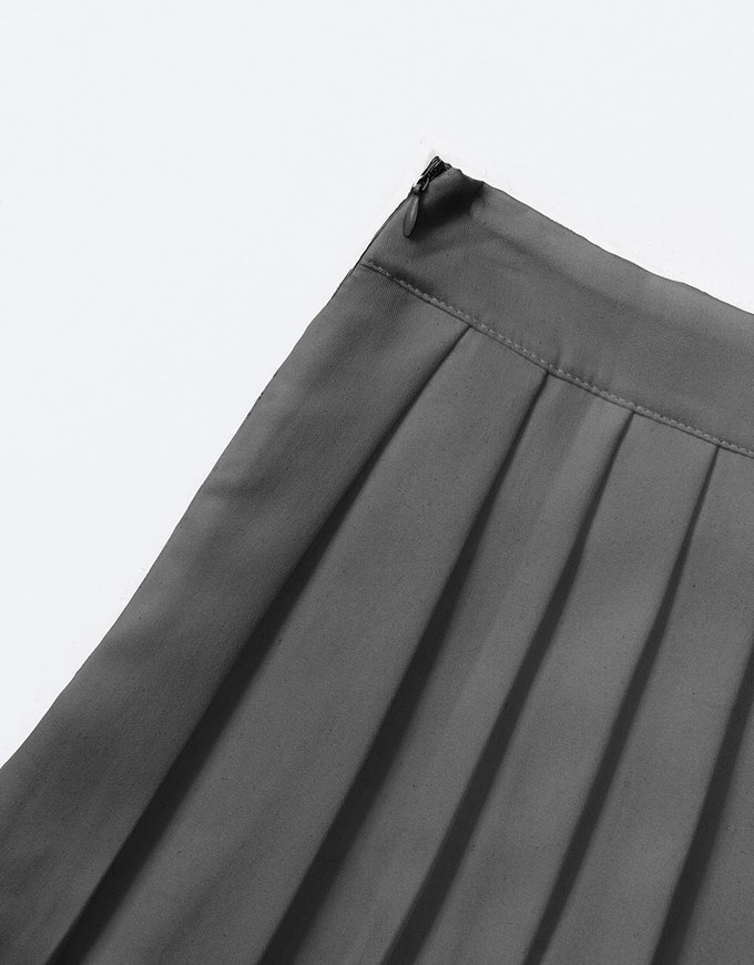 High Waisted Plain Pleated Mini Skirt