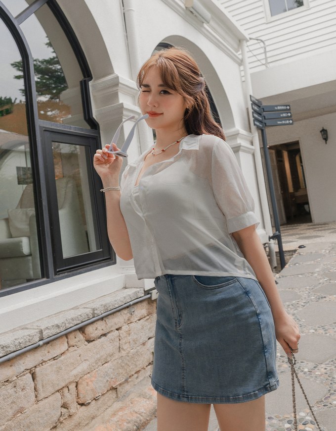 Textured Sheer Short Sleeve Blouse