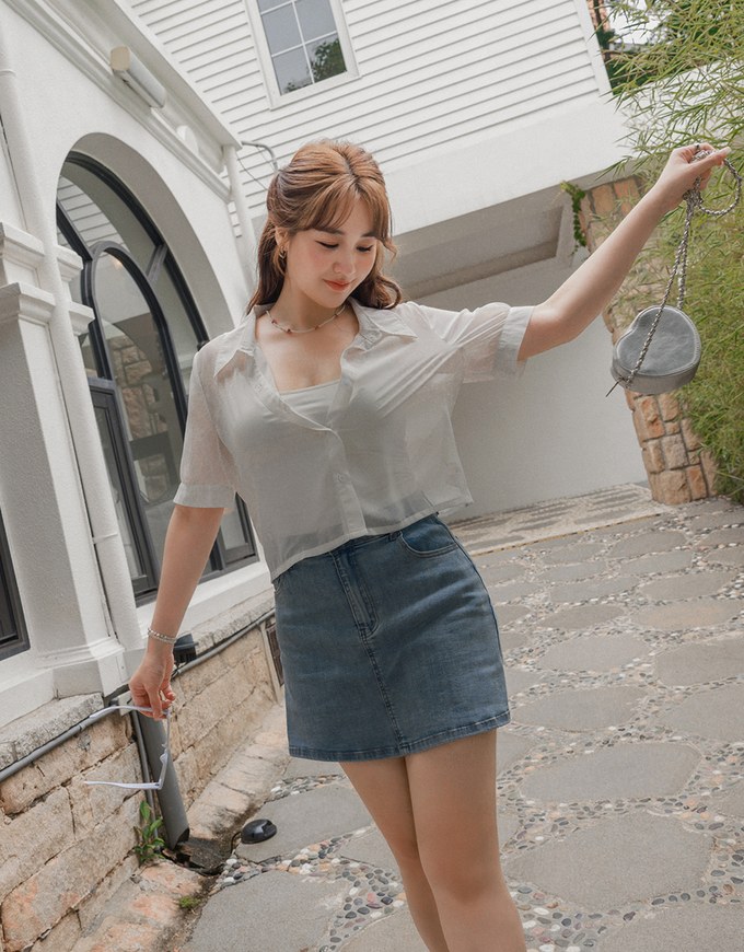 Textured Sheer Short Sleeve Blouse