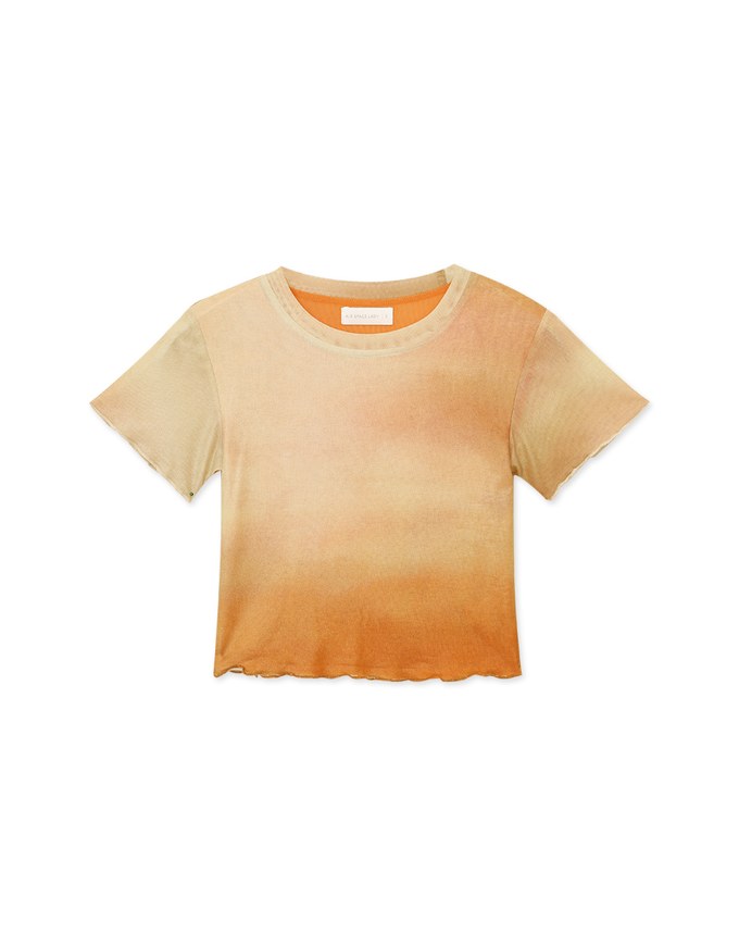 Stylish Gradient Mesh Crop Top