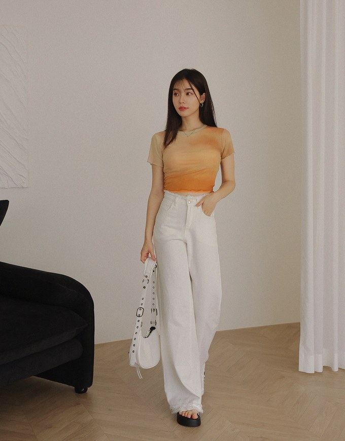 Stylish Gradient Mesh Crop Top