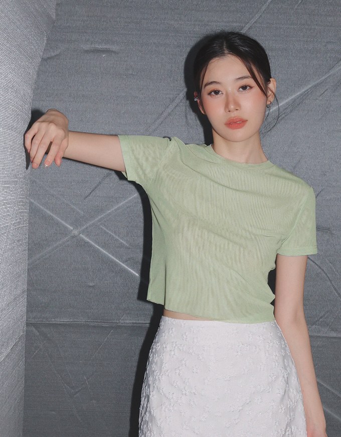 Solid Color Sheer Mesh Cropped Top