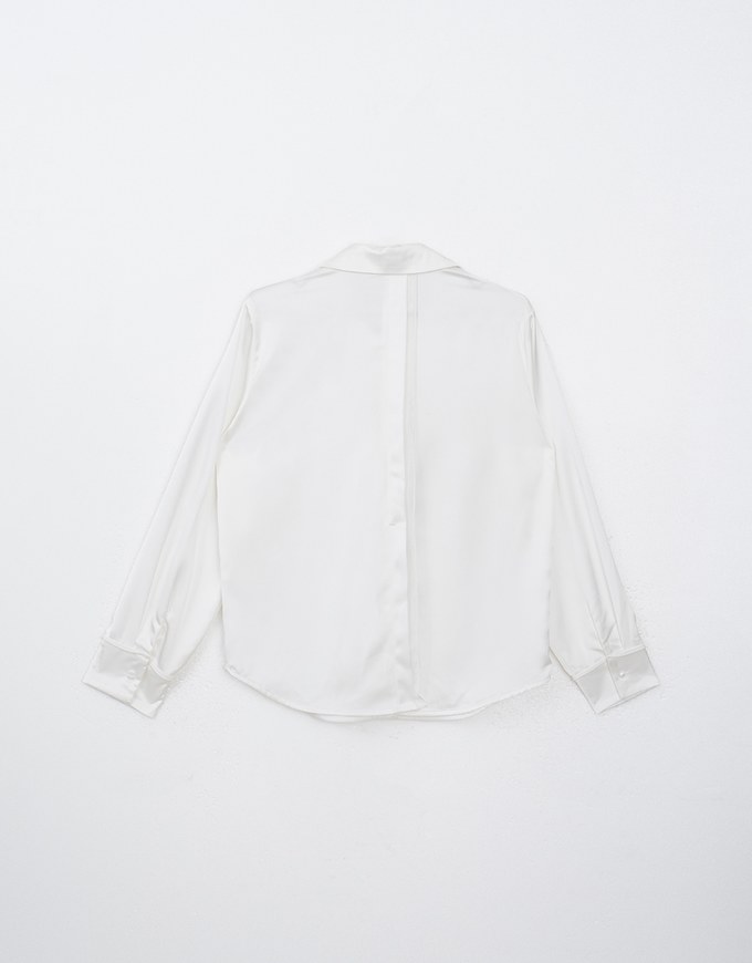 Satin Casual Long Sleeve Button Up Blouse