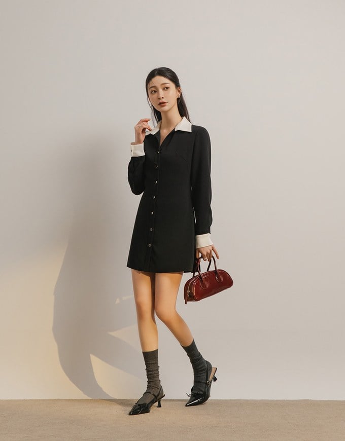 Collared Button Front Colorblock Mini Dress