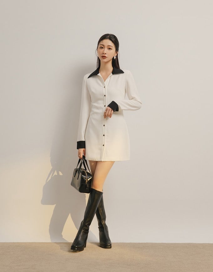 Collared Button Front Colorblock Mini Dress