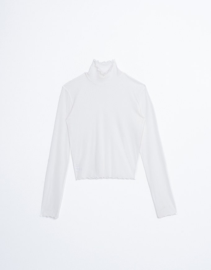 Turtleneck Sheer Ruffle Trim Top