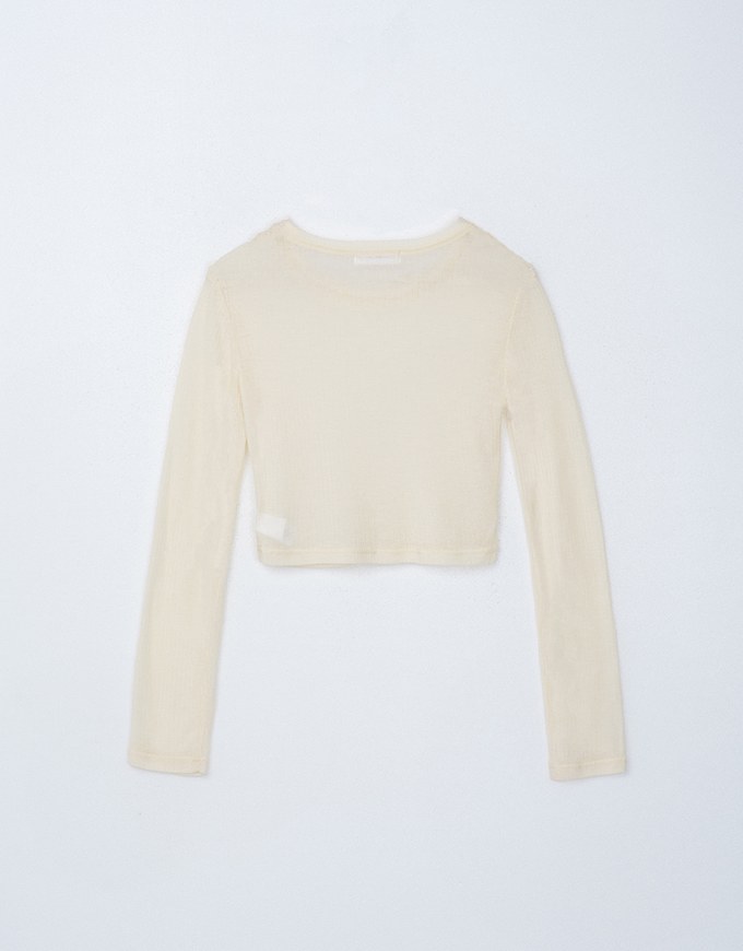 Sheer Knit Cropped Long Sleeve Top