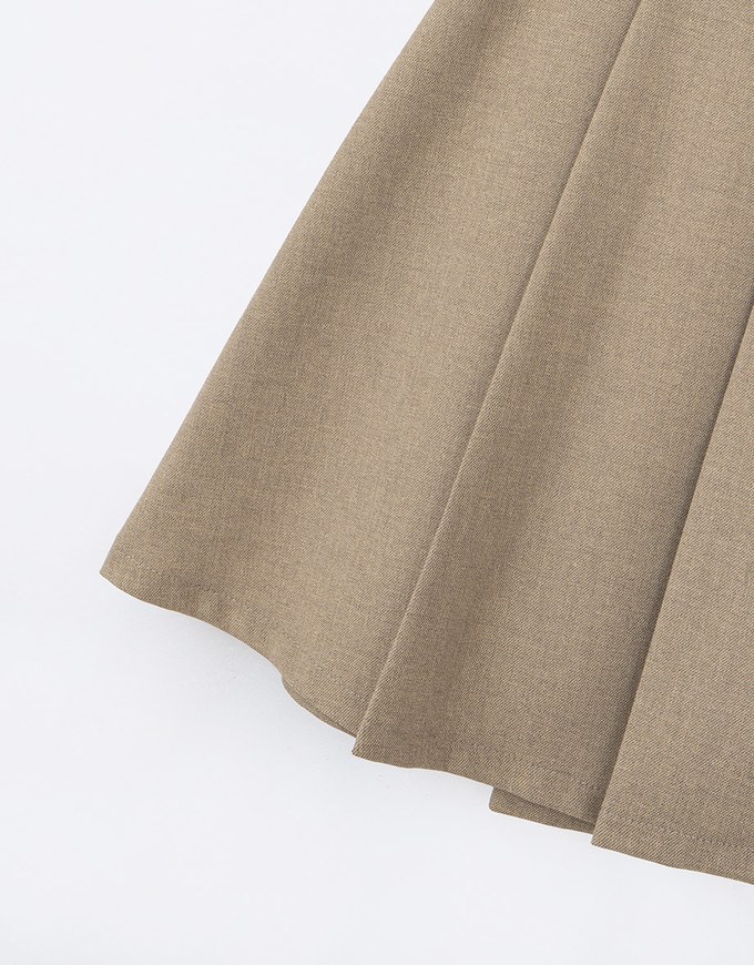 Classic Plain Pleated A Line Mini Skirt