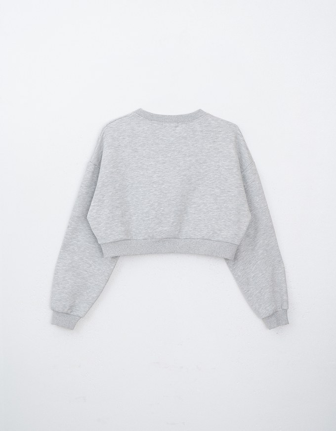 Fleece Lined Cropped Sweater With Letter Print Embroidered