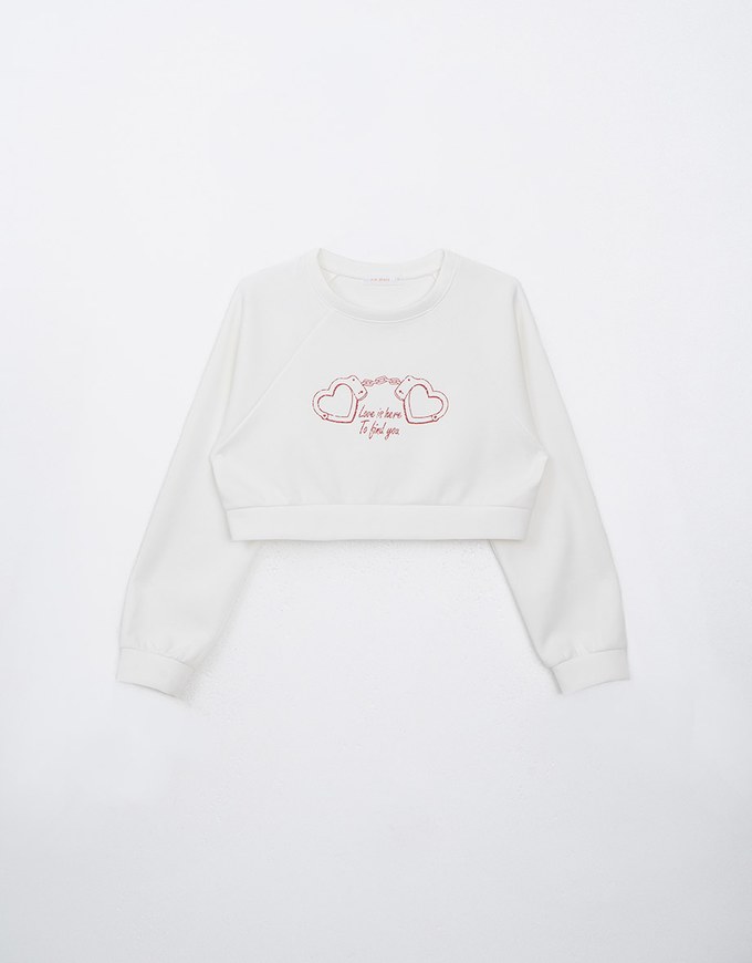 Printed Crew Neck Cropped Sweatshirt