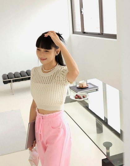 Hollow Hole Crop Knit Top