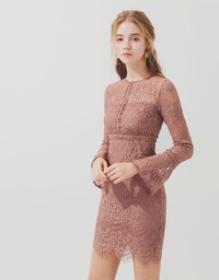 Curvy Soft Lace Long Sleeve Dress