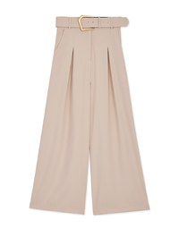 High Waisted Wrinkle-Free Belted Suit Wide Pants