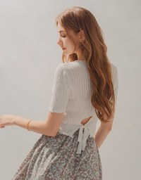 Simple Plain Hollow Sheer Knitted Crop Top
