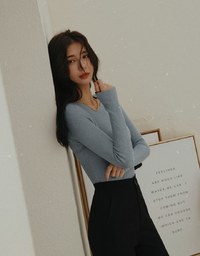 Round Neck Sheer Knit Top