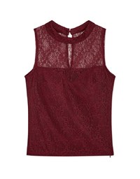 Delicate Lace Splice Sheer Tank Top (With Padding)