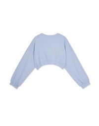 Basic Minimalistic Crop Sweater
