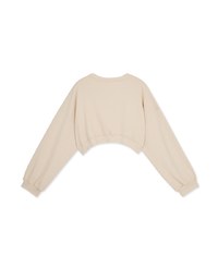 Basic Minimalistic Crop Sweater