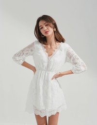 Romantic Delicate Lace Mini Dress