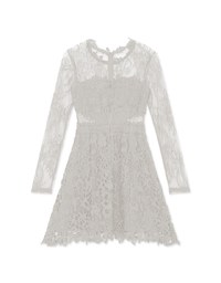 Semi- Transperent Lace Mini Dress