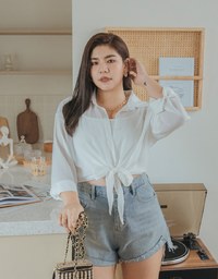 Transparent Sheer Tie-Waist Crop Blouse Shirt