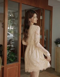V-Neck Lace Translucent Mini Dress