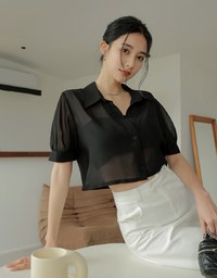 Textured Sheer Short Sleeve Blouse