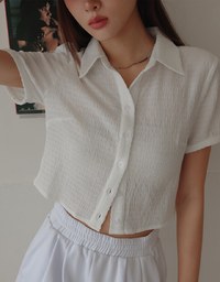 Crinkled Collared Short Sleeve Blouse