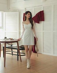 Long Puff Sleeve Sheer Mini Dress