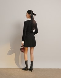 Collared Button Front Colorblock Mini Dress