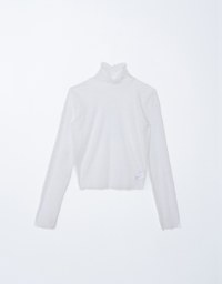 Turtleneck Sheer Ruffle Trim Top