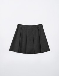 Classic Plain Pleated A Line Mini Skirt