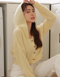 Hooded Cropped Knit Top