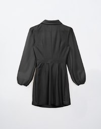 Sophisticated Tailored Collar Sheer Long Sleeve Mini Dress