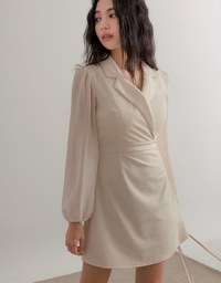 Sophisticated Tailored Collar Sheer Long Sleeve Mini Dress